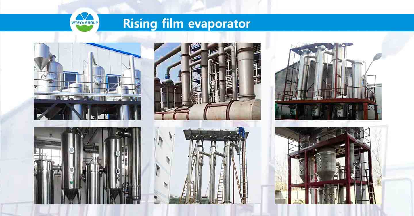 rising film evaporator